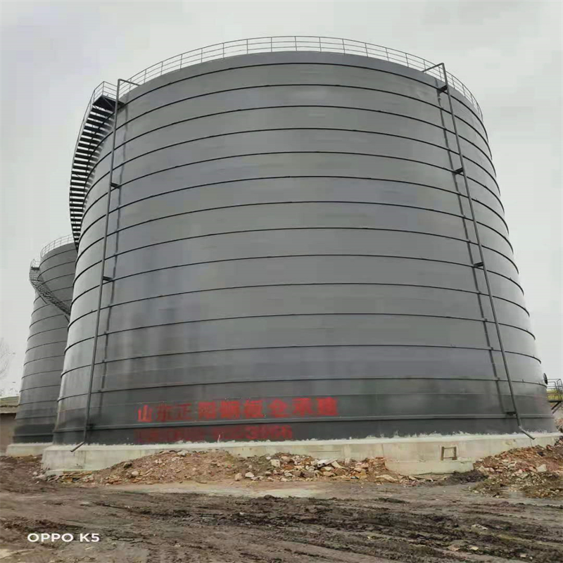 琼海3万吨大型钢板库